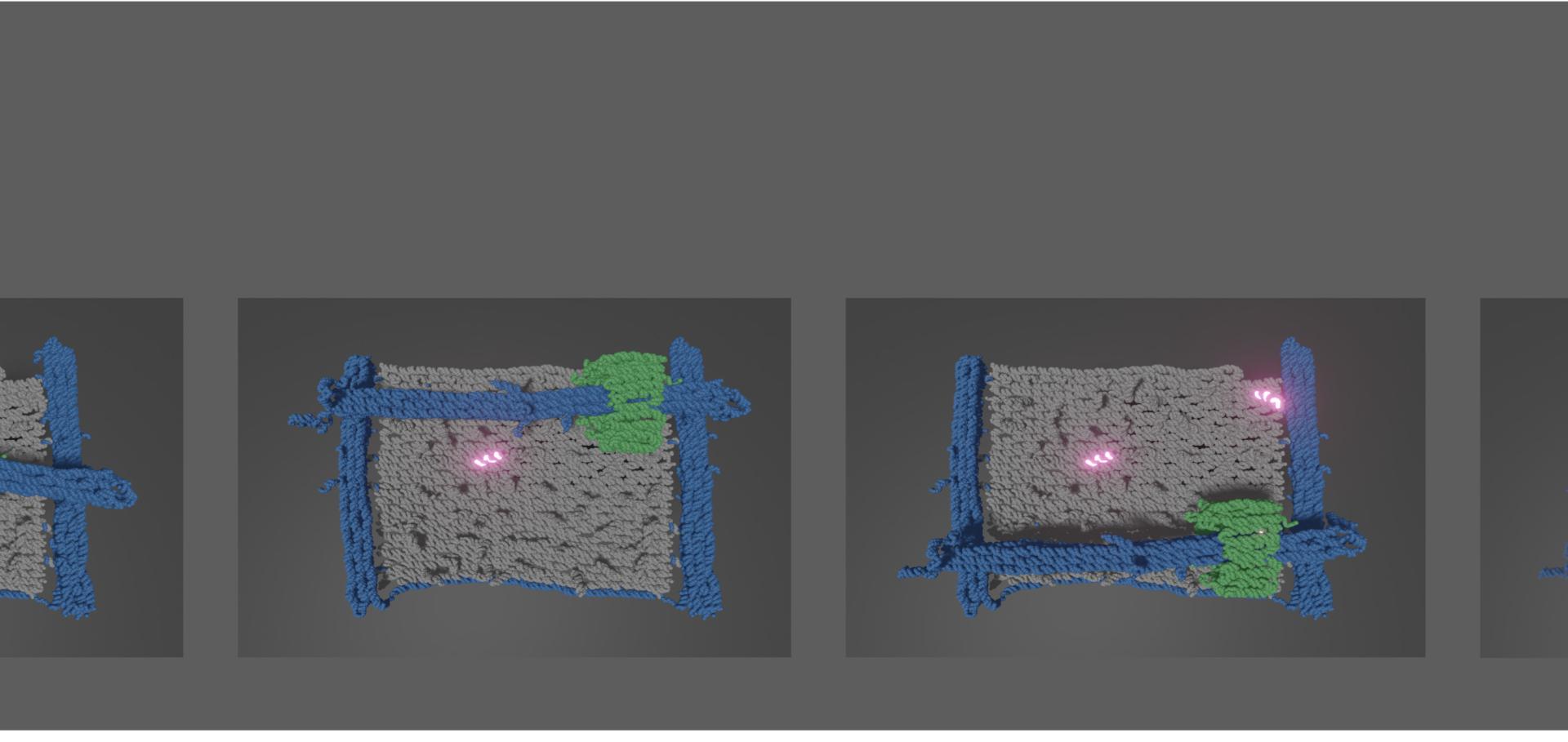 Molecular model to show that a print head of a 2D printer can be positioned in x and y on a 2D canvas. All components are DNA.
