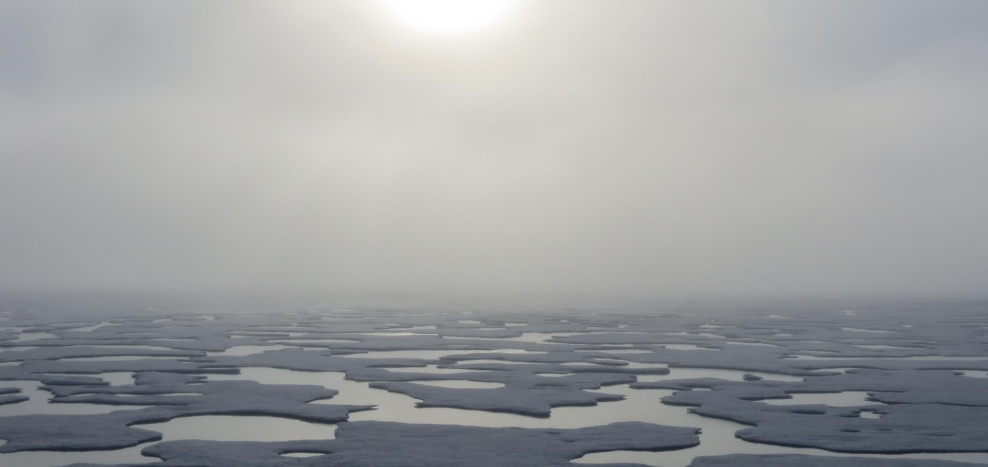 Image of melt ponds on Arctic sea ice. The sun is hazily visible above it.