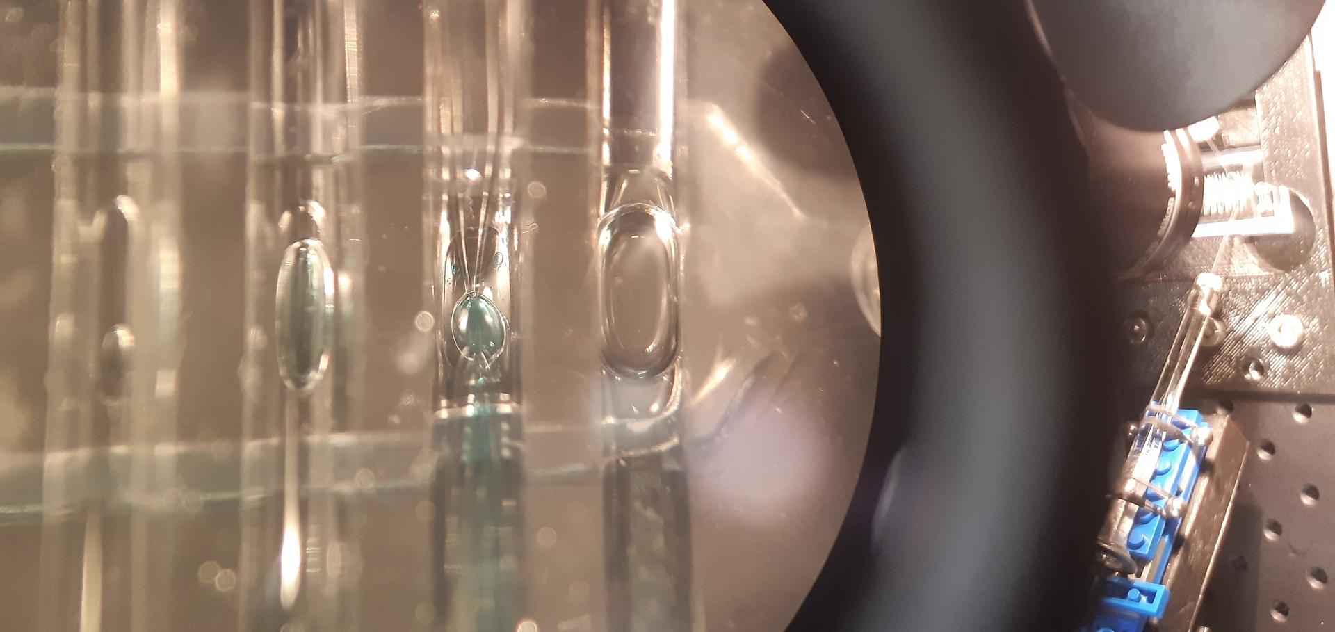 A microfluidic chip viewed through a microscope