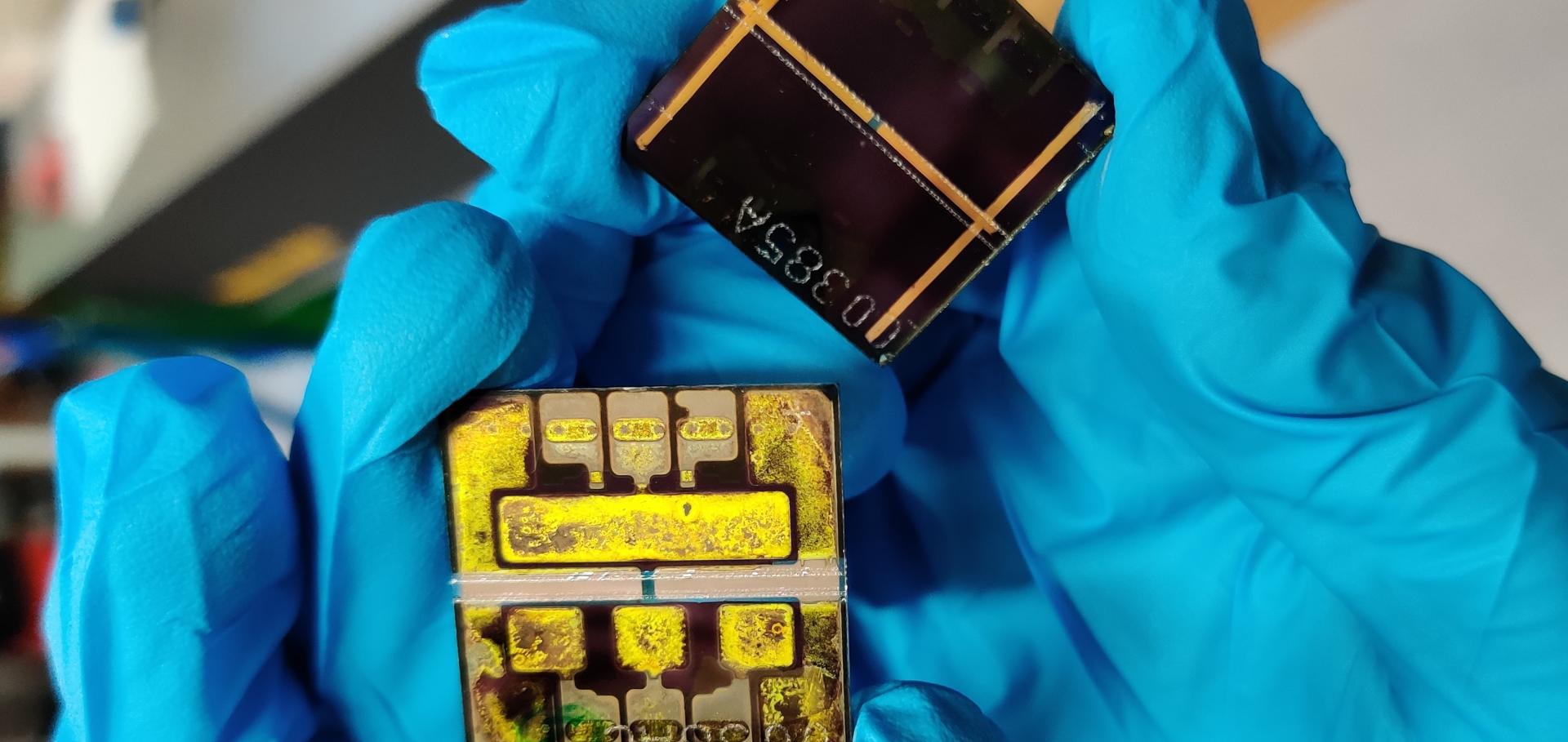 Shows a degraded and a stable perovskite solar cell hold with blue gloves