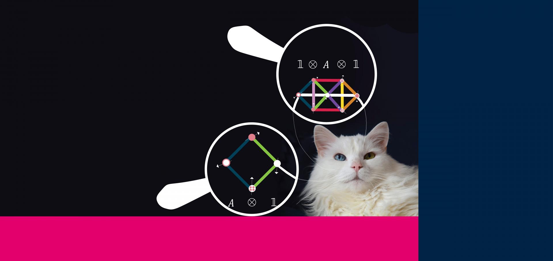 Illustration of strictly local dynamical symmetries