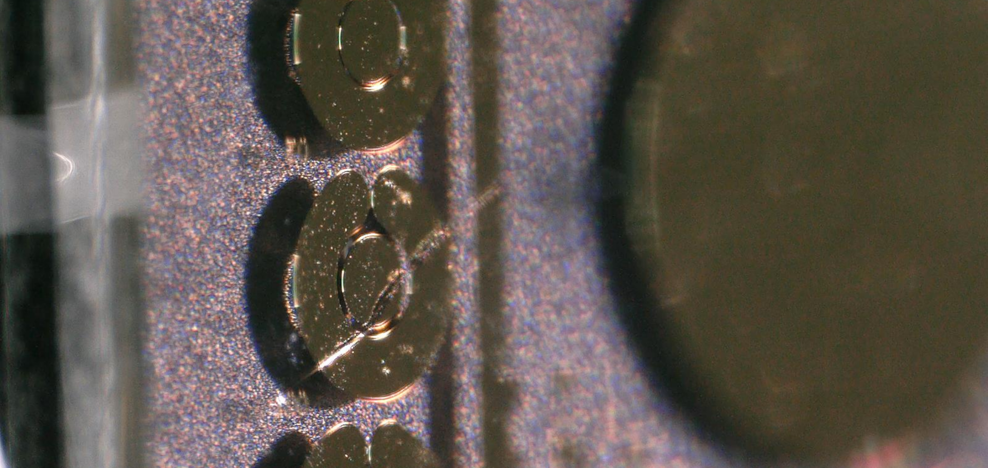 Microscopy image of solid-state sensors: circular metal contacts above a rough purple background.
