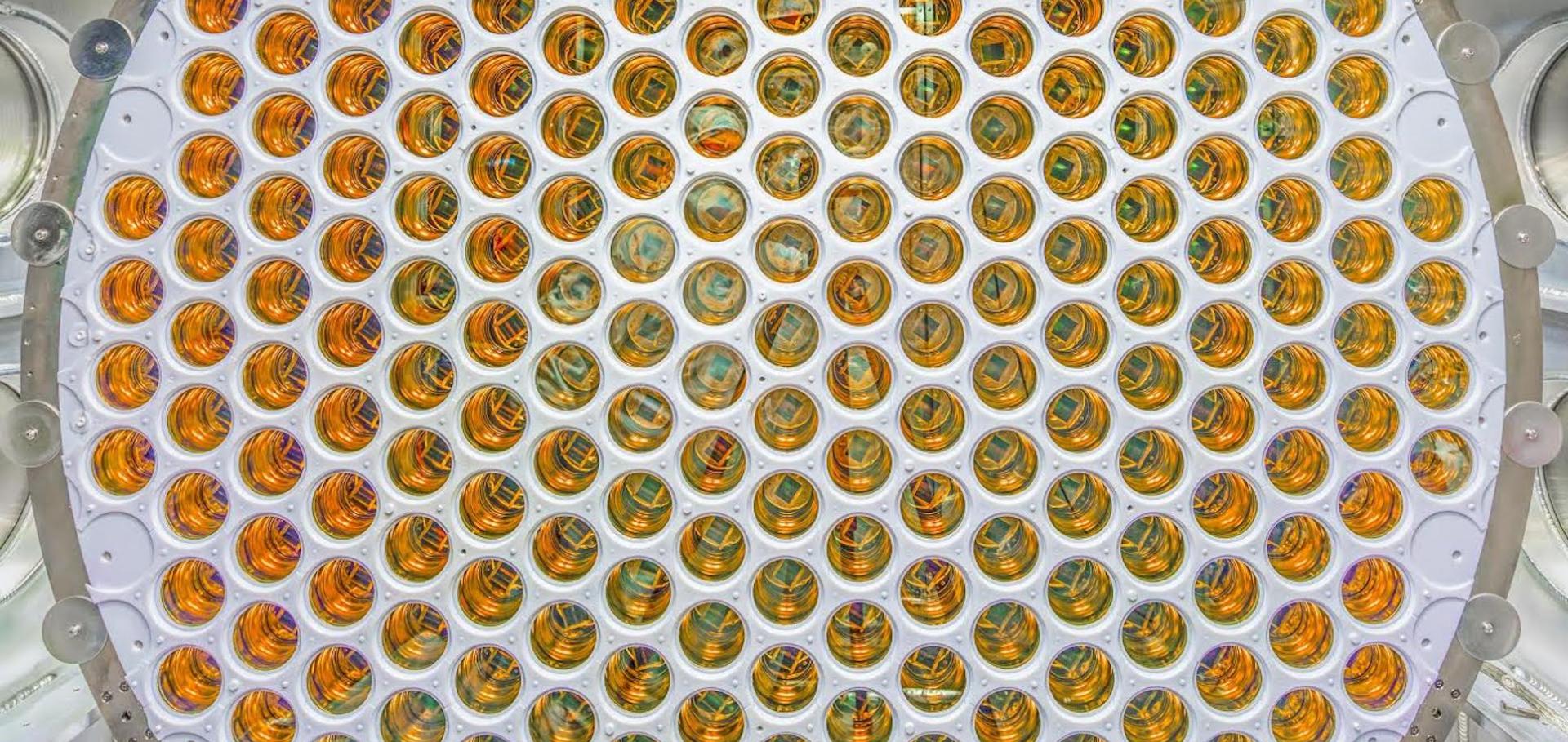 A snapshot of the bottom TPC PMT array in LZ