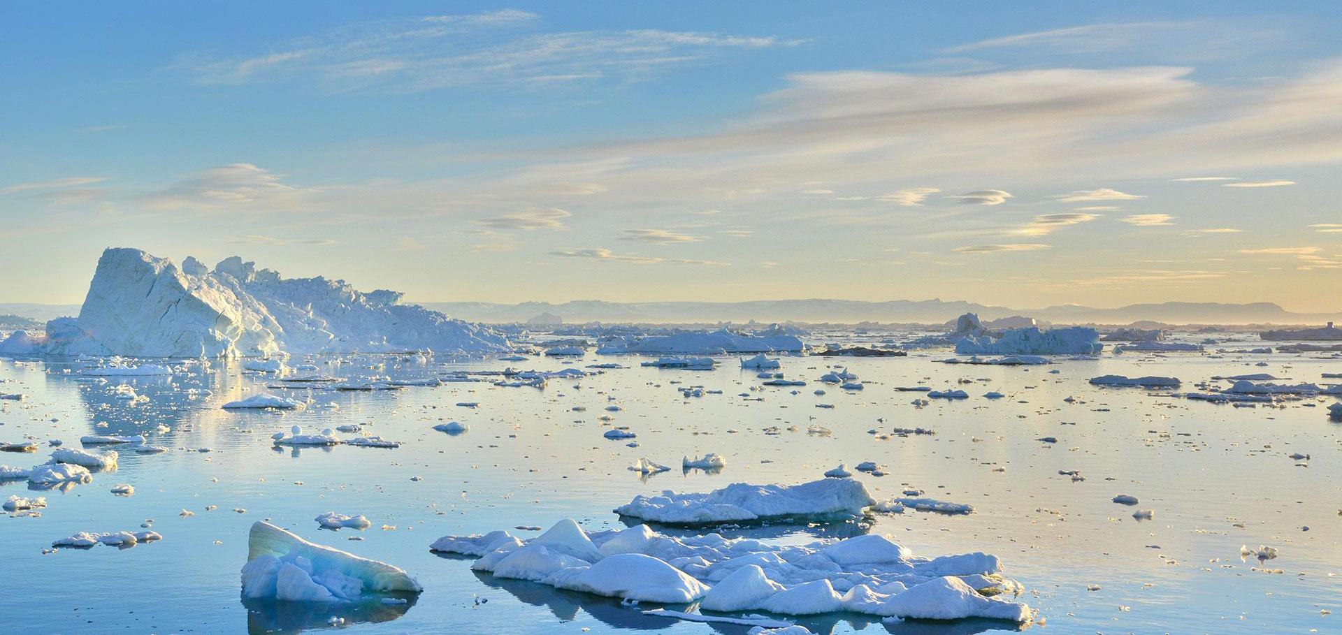 Floating sea ice