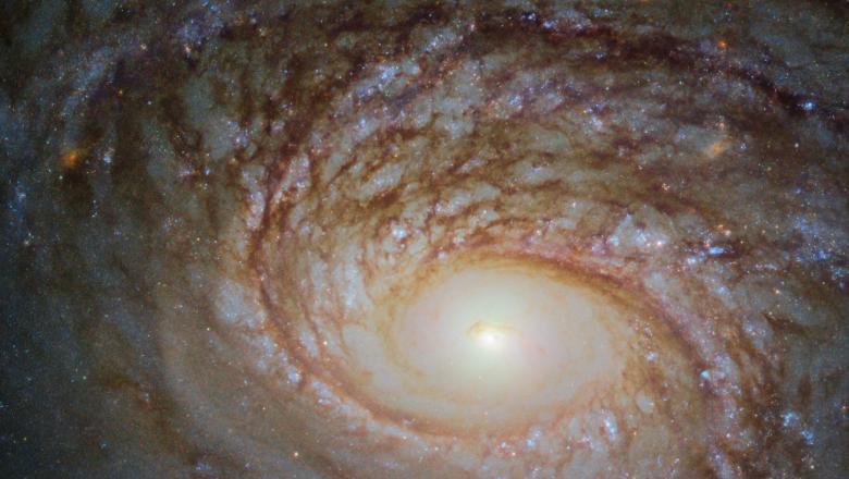 An image of NGC2336 ESA/Hubble & NASA