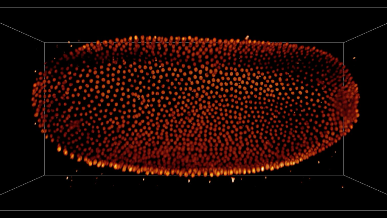 Soft Matter Theory Seminar