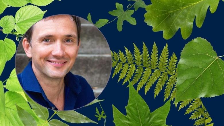 A portrait of Professor Ard Louis and a background of leaves of different shapes