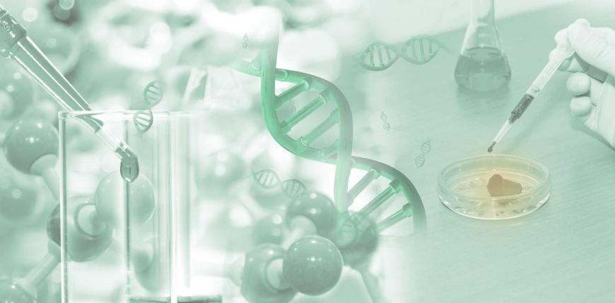 Chromatin Dynamics