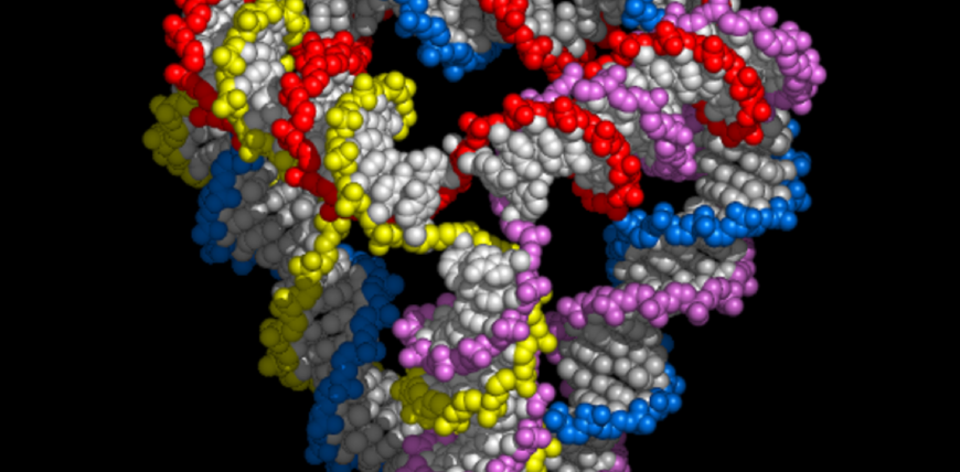 DNA tetrahedron